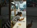 Download Lagu Jajanan Kuliner Simpang Tugu Sungai Duo Sitiung Dharmasraya