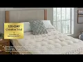 Macy s Commercial 2025 - USA