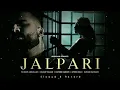 JALPARI - Faheem Abdullah | Huzaif Nazar | Rather Hashim | Bhushan Kumar | AVM249