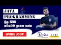 JAVA While loops in Sinhala