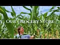 Download Lagu We Like to Grow Things || Where Our Food Comes From || July 2025