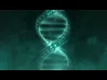 Disturbed - In Another Time [Official Lyrics Video]