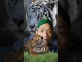 Download Lagu urip kudu narimo