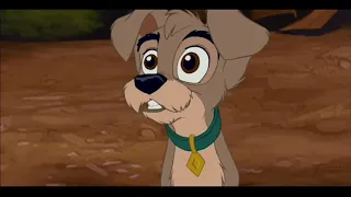 كلاب الشوارع النبيلة والشارد ٢ انطلاقة سهم 