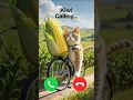 Download Lagu Kiwi calling 🤙🏻✨ #ringtone #trending #cat #youtube #cutecat #youtubeshorts #foryou #calling #kittens