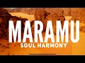 Soul Harmony Maramu 528 Music Therapy Pace si Iubire