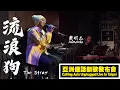 Download Lagu 黃明志 Namewee 【流浪狗 The Stray】@亞洲通話新歌發佈會 Calling Asia Unplugged Live In Taipei