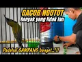 Download Lagu Edan!!! Ternyata cuma begini SOGON MENJADI GACOR NGOTOT NGLEPER