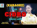 Download Lagu Cidro Karaoke | Karaoke Dangdut Official | Cover PA 600
