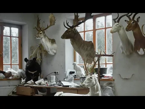 Animus Animalis (Istorija Apie Žmones, Žvėris Ir Daiktus) 2019
