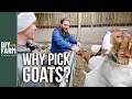 WHY FARM GOATS - I went back for MORE BOER
