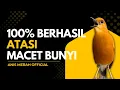 Download Lagu MACETAN PASTI NYAUT | ANIS MERAH GACOR INI 100% JITU UNTUK PANCINGAN ANIS MERAH MACET BIAR BUNYI |12