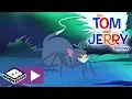 Download Lagu The Tom and Jerry Show  | Spider Tom | Boomerang UK 🇬🇧