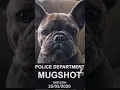 Download Lagu My mugshot 😂 | Tiktok #shorts