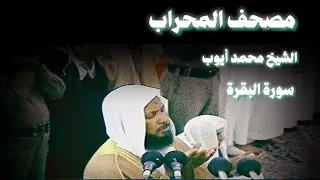 محمد أيوب سورة البقرة من الحرم 