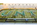 UNT s Path to Excellence
