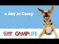A Day at Camp
