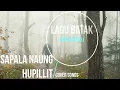 Download Lagu SAPALA NAUNG HUPILLIT - COVER SONGS