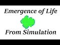 Simulating Slime Mold Motility Patterns in Matlab A P Class Project