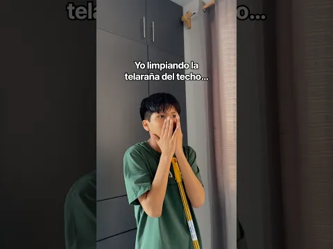 Yo cuando limpio la telaraña 🕸️ #shorts