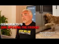 Download Lagu This Smart Golden Retriever Opens Fridge for Snacks | Cesar Reacts