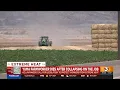 Yuma farmer dies on the job leaves behind wife and kids