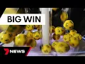 Three mystery men take home more than 32 million in Oz Lotto s mega draw 7 News Australia
