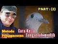 Download Lagu Part (2) Langkah Penggacoran Ter ampuh biyar cepat Ngeplong @mangoendjoyochannel8053