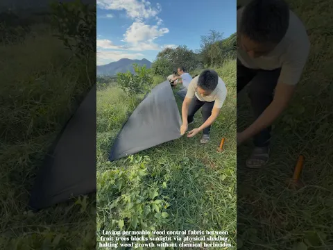 Say Goodbye to Weeds: Genius Orchard Hack