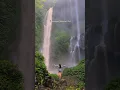 Download Lagu Sekumpul Waterfall is the biggest and most beautiful waterfall in Bali 🌺
