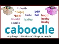 Adventures in Etymology - Caboodle