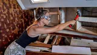 BOAT YARD (PART 1) COMPLETELY ROTTEN BULKHEADS!