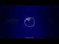 The Little Mermaid's Relaxing Underwater Ambience with Music Box Lullaby | Deep Sea Sounds for Sleep