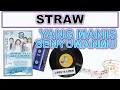 Lagu Lyrics - YANG MANIS SENYUMANMU - STRAW