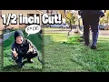 Cutting my grass to INCH WHAT AM I THINKING Sun Joe Cordless Reel Mower EGO EDGER