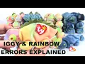IGGY RAINBOW TY Beanie Babies Iguana Chameleon Errors Explained Value Review Info - BBToyStore