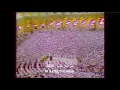 Download Lagu Surah Al-Ghashiyah (The Overwhelming) [English Translation] Ali Jaber علي جابر
