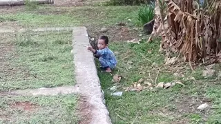 respon bw di liang naga rbw 7x3 pake tweeter kobble 65 hasan walet makassar