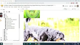Basic Image Processing by Sharpening images Detecting Edges Detecting Contours with cv2 and numpy