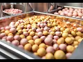 Agglomeration in Food Processing Enhancing Quality and Convenience