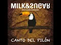Canto del Pilón (Original Mix)