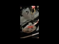 Samsung Dishwasher Heavy Blinking Flashing Light Error