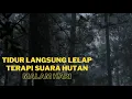 Download Lagu Suara Hutan Malam Hari