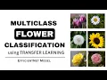 Multiclass Flower Classification using Transfer Learning EfficientNet Model