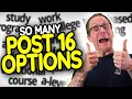 Post 16 Option Choices after GCSEs Year 11