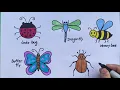 Easy Insects drawing Easy Ladybug dragonfly honeybee beetle bug drawing and coloring for kids
