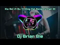 Download Lagu Xia Bei Zi Bu Yi Ding Hai Neng Yu Jian Ni 下辈子不一定还能遇见你  ✘ The Spectre Remix By Dj Brian Bie