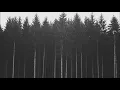 Kveste - Plague Wind