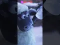 Lagu 🎁 Shaun the Sheep x Barbour 🎄 Frozen Sheep #shaunthesheep #barbourchristmas #barbour  #christmas