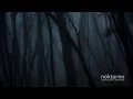 Download Lagu Martina Testen / Simon Šerc - Nokturno